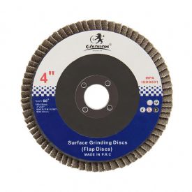 Zirconia100X16mm
